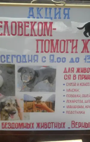 Плакат приют для собак