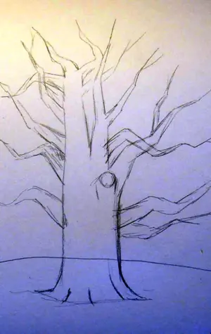 Поэтапное рисование дерева дуб