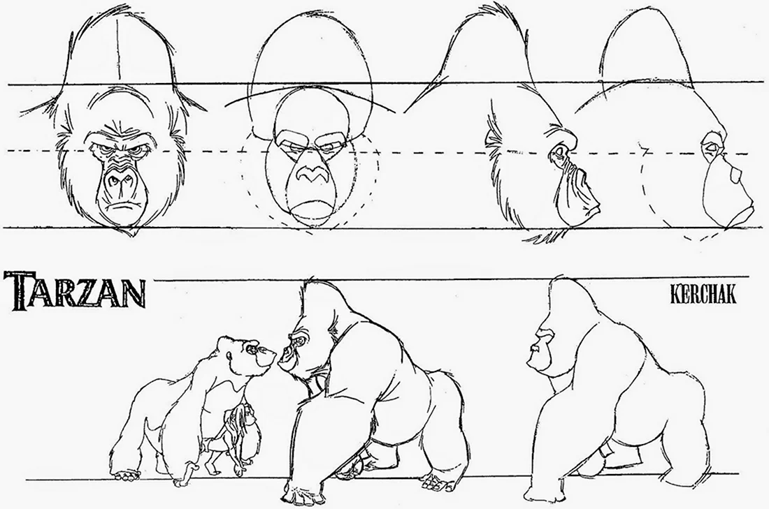Поэтапное рисование гориллы