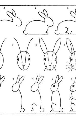 Пошаговое рисование зайца