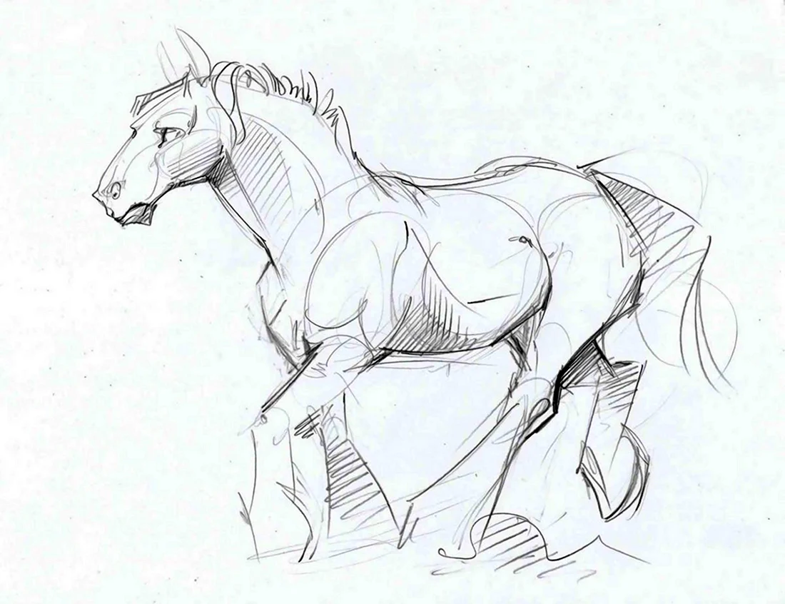 Позы лошадей для рисования