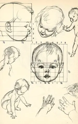 Пропорции головы ребенка