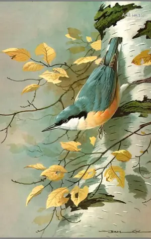 Птицы художника Basil Ede