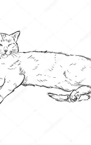 Рисование лежачей кошки