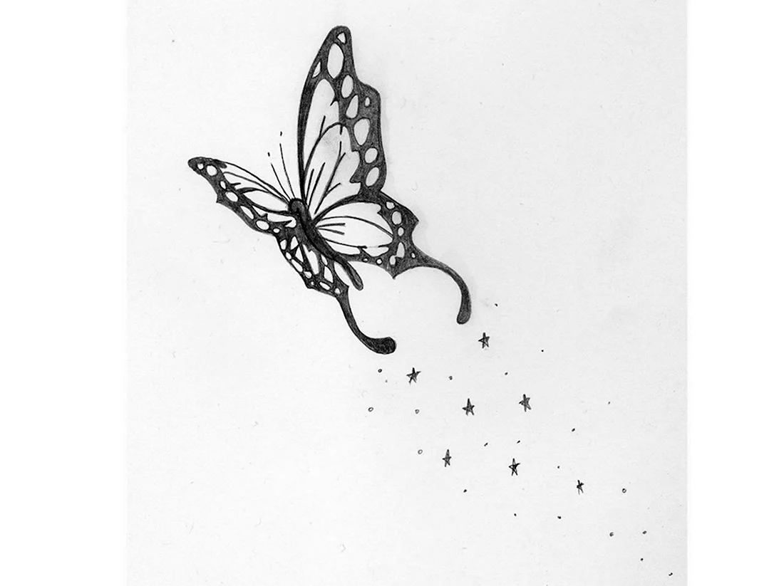 Рисунок бабочки карандашом для срисовки