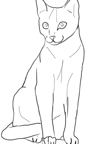 Рисунок кошки для срисовки