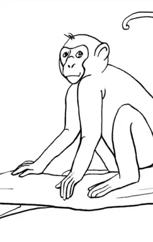 Рисунок обезьяны для срисовки