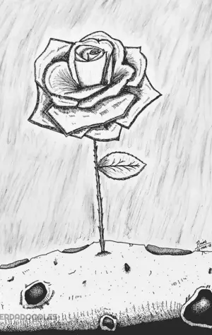 Роза из маленького принца