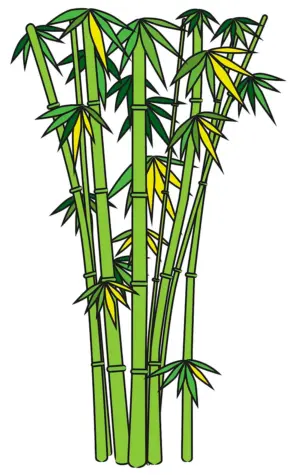 Сахарный тростник и бамбук