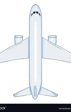 Самолет вектор вид снизу
