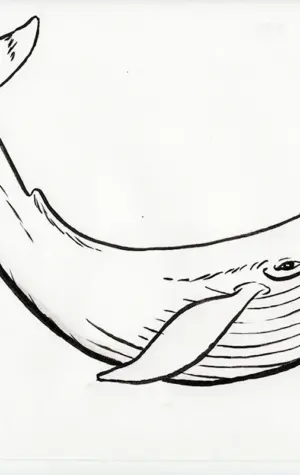 Синий кит нарисовать