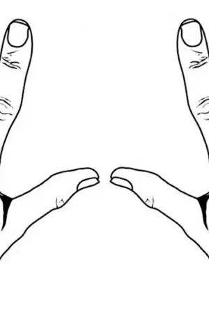 Схематичное изображение кисти руки