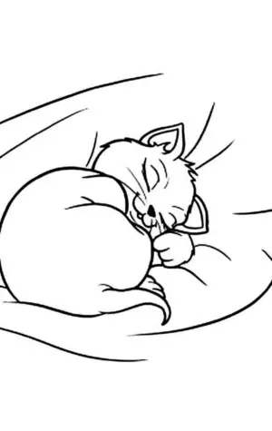 Спящий котик раскраска