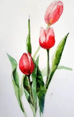 Тюльпаны акварелью