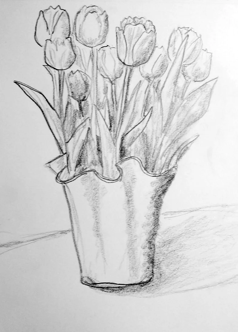 Тюльпаны в вазе карандашом