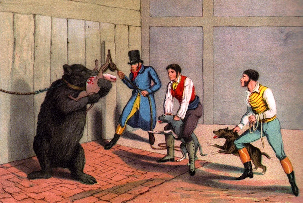 Травля Быков и медведей Лондон 17 век