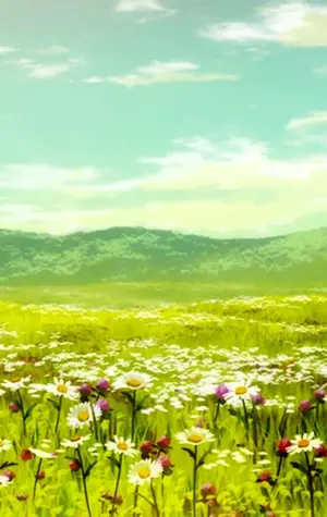 Цветочное поле аниме