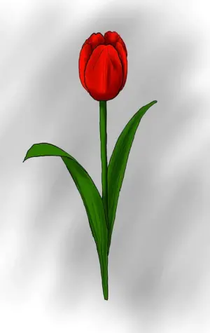 Цветок тюльпан для детей