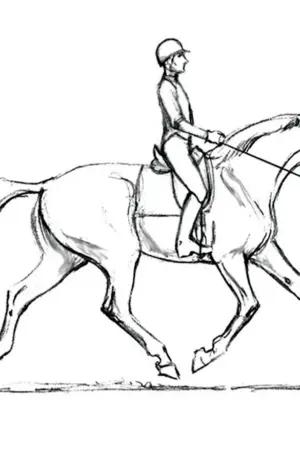Всадник на лошади рисунок