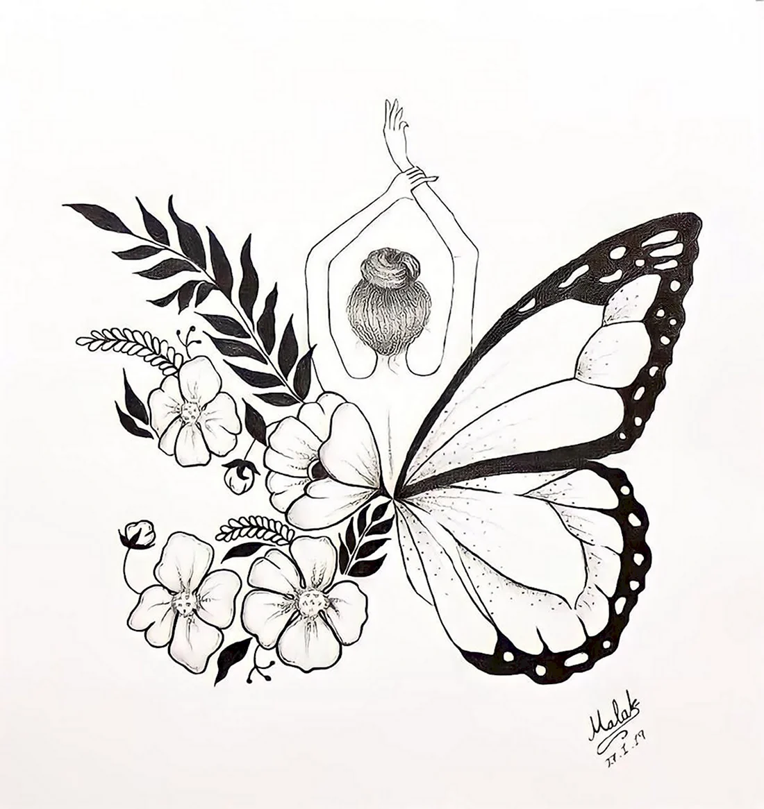 Зарисовка бабочки