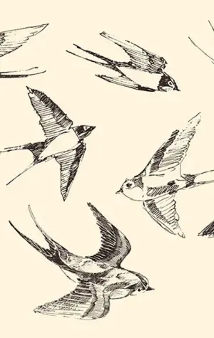 Зарисовки птиц в движении