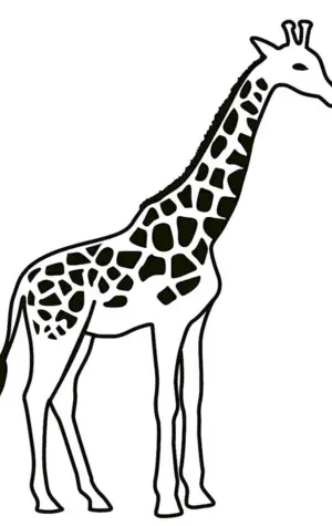 Жираф контур