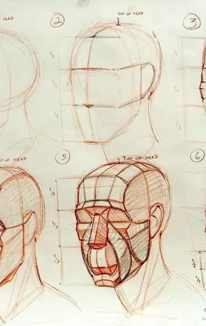 Анатомия черепа Рыжкин