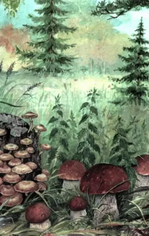 Картина в лес по грибы л.Новоселовой