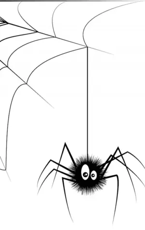 Паук на паутине рисунок