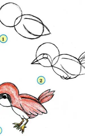 Рисование птиц для детей